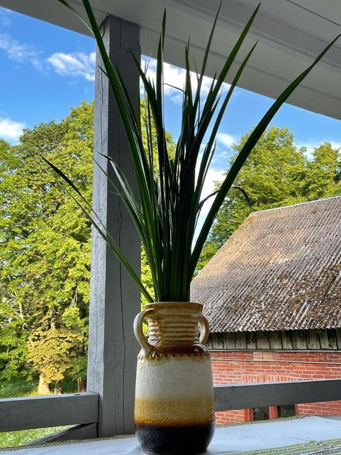 Strautmali White House In Mazirbe Villa Ngoại thất bức ảnh